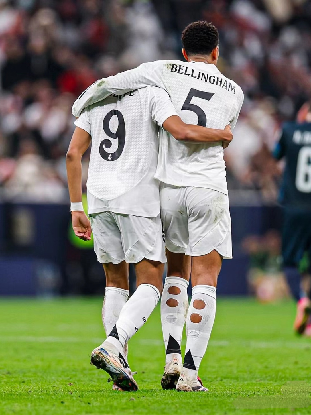 放置在读者 放置在读者